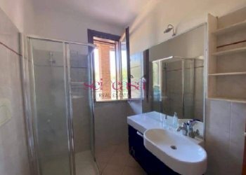 Rustic Scarlino - photo 8