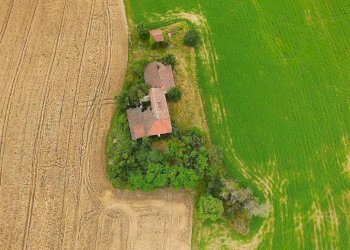 Terreno - Terreno edificabile via Tortona, Carbonara Scrivia - foto 3