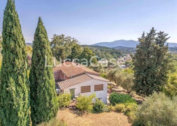 Casale Capannori - photo 16