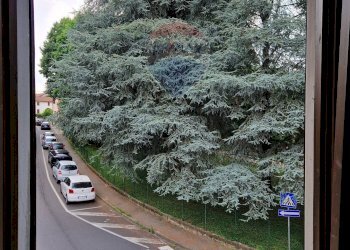 Locale Commerciale via Matteotti, Cadorago - foto 20