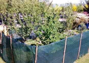 Giardino - Appartamento via delle Colombaie, 2I, Prato (zona Casale) - foto 6