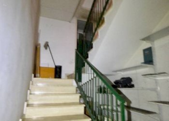 Scala - Shop via Pietro Volpi, 5, Biella - photo 14