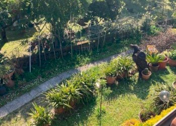 Giardino - Villa via Godola, Massa - foto 26