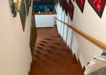 Scala - Villa via Godola, Massa - foto 33