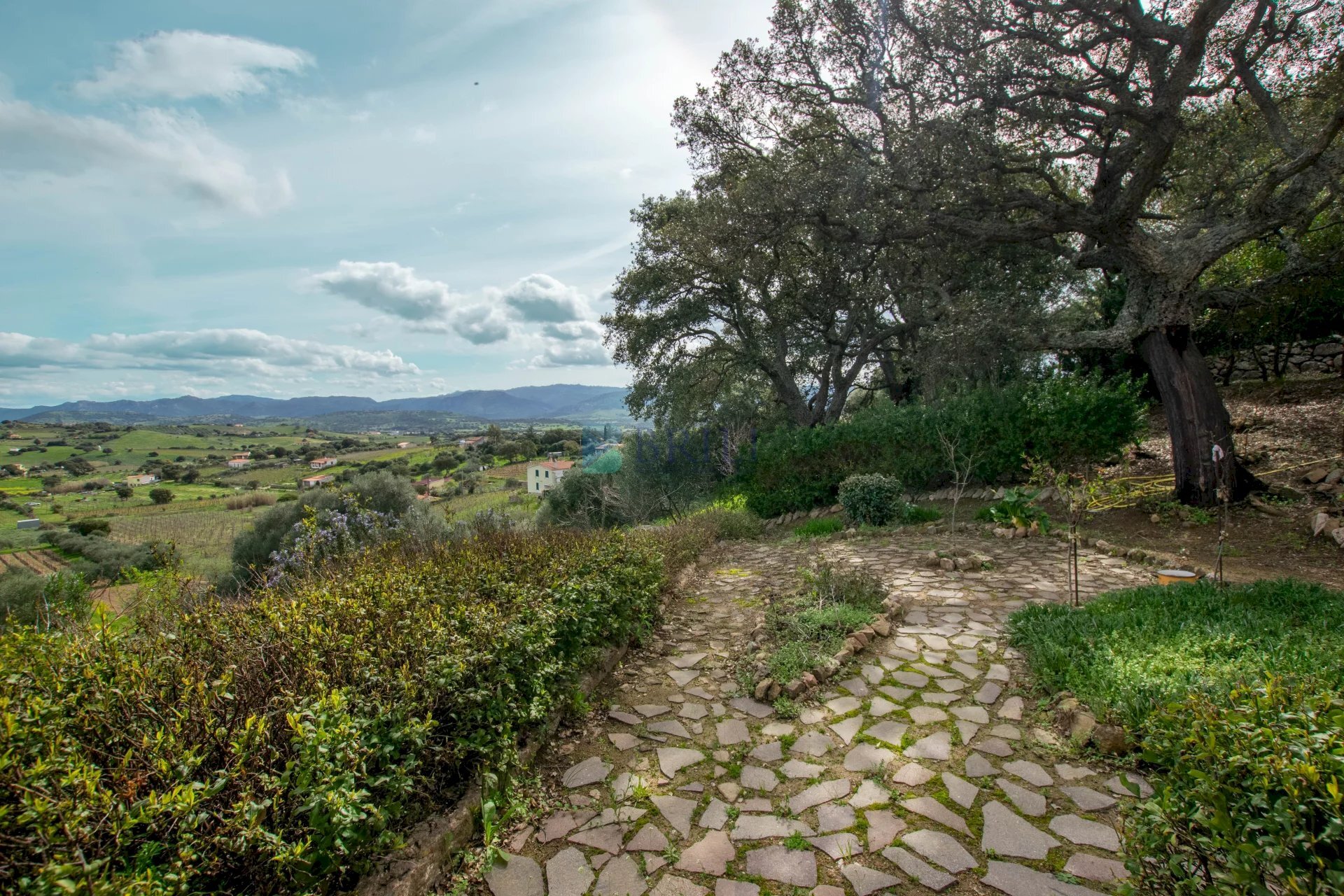 Villa Strada del Vermentino, Berchidda - photo 2