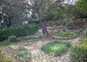 Villa Strada del Vermentino, Berchidda - foto 11