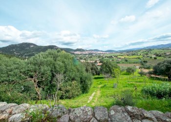Villa Strada del Vermentino, Berchidda - foto 14