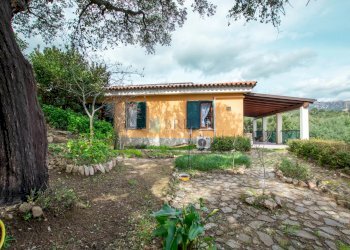 Villa Strada del Vermentino, Berchidda - foto 4