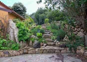 Villa Strada del Vermentino, Berchidda - foto 22
