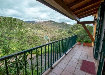 Villa Strada del Vermentino, Berchidda - foto 27