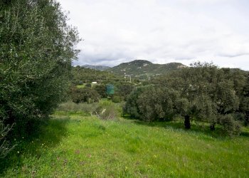 Villa Strada del Vermentino, Berchidda - foto 29