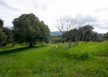 Villa Strada del Vermentino, Berchidda - foto 33