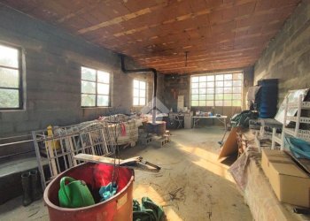 Casa indipendente Frazione Inselmina, Berzano di Tortona - foto 27