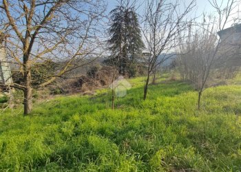 Casa indipendente Frazione Inselmina, Berzano di Tortona - foto 31