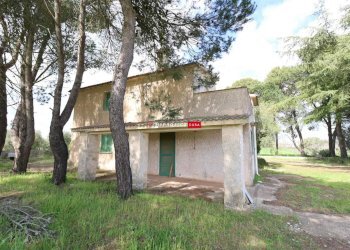 Villa Bifamiliare Contrada Pozzo Tre Pile, Martina Franca - foto 2