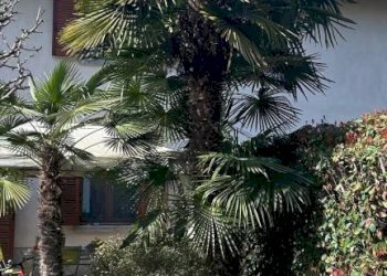 Villa a Schiera Siziano - foto 37