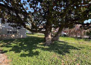 Villa Unifamiliare Marmirolo - foto 9