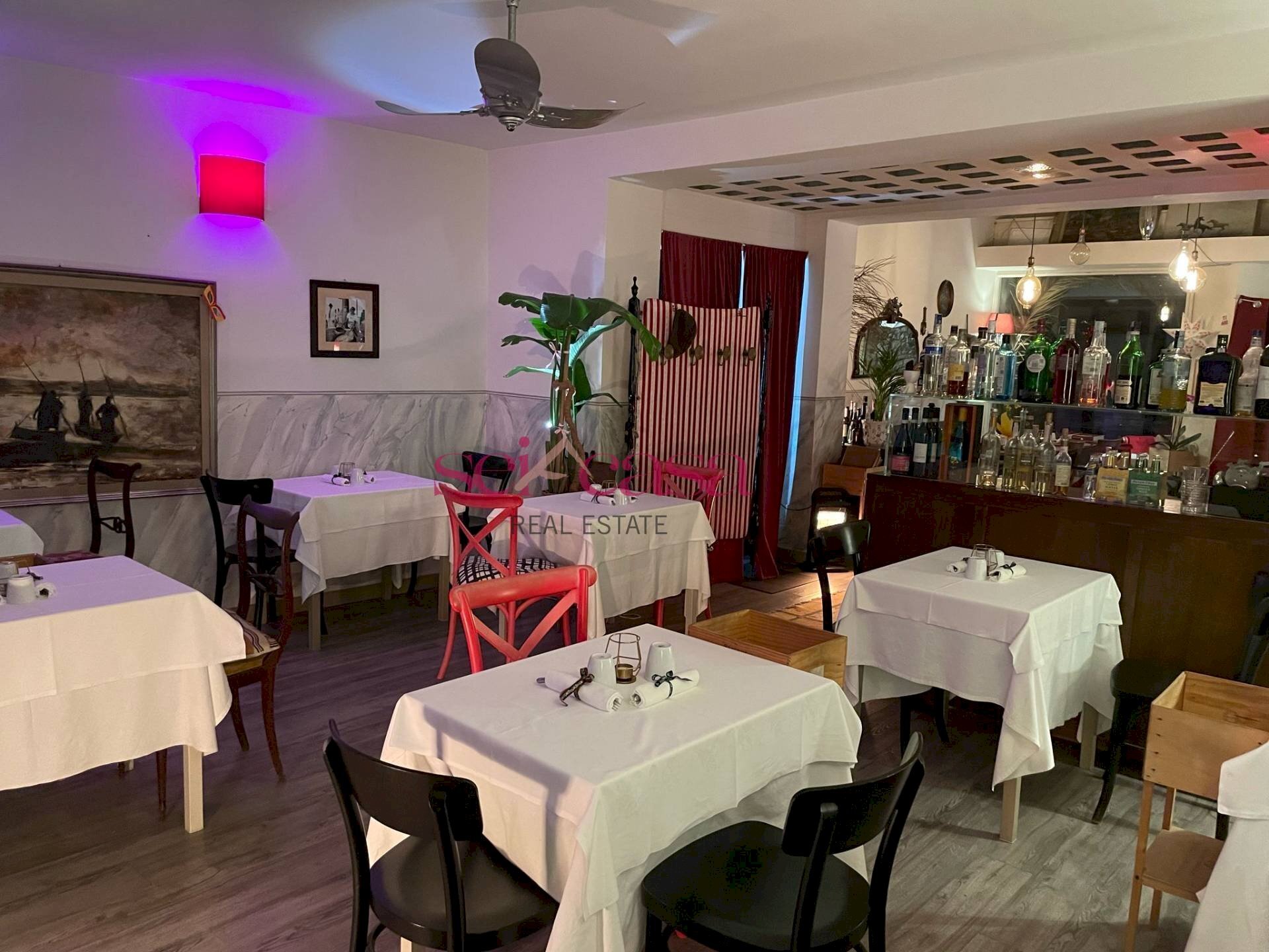 Commercial Activity Grosseto - photo 2