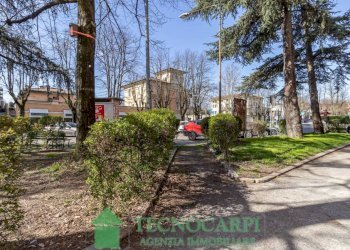 Giardino - Negozio Carpi - foto 1