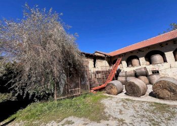 Terreno - Rustic Borgata Braia, Prunetto - photo 27