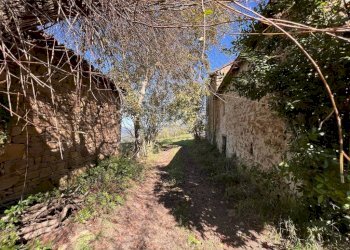 Terreno - Rustic Borgata Braia, Prunetto - photo 28