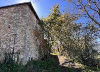 Terreno - Rustic Borgata Braia, Prunetto - photo 29