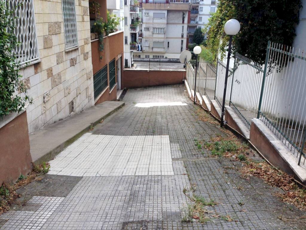 Zona - Shop via del Casale Giuliani, 57, Roma - photo 2