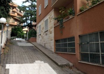 Zona - Shop via del Casale Giuliani, 57, Roma - photo 14