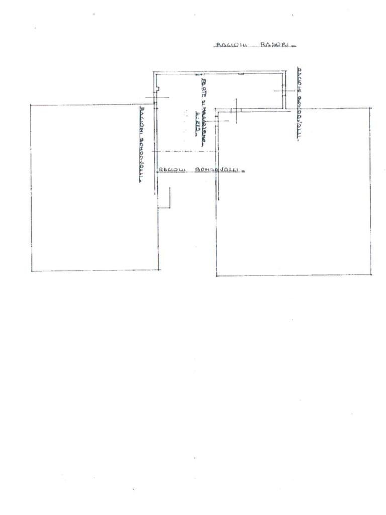 Rustico Via Dante Alighieri, Cadelbosco di Sopra - planimetria 1