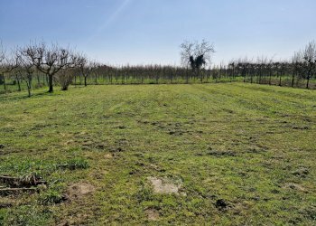 Terraced Villa Masi Torello - photo 26