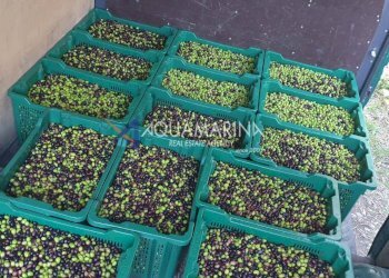 Casa indipendente Apricale - foto 26