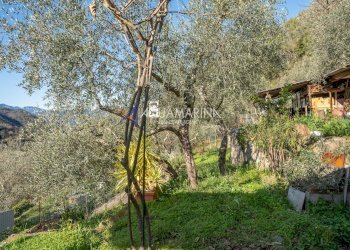 Casa indipendente Apricale - foto 29