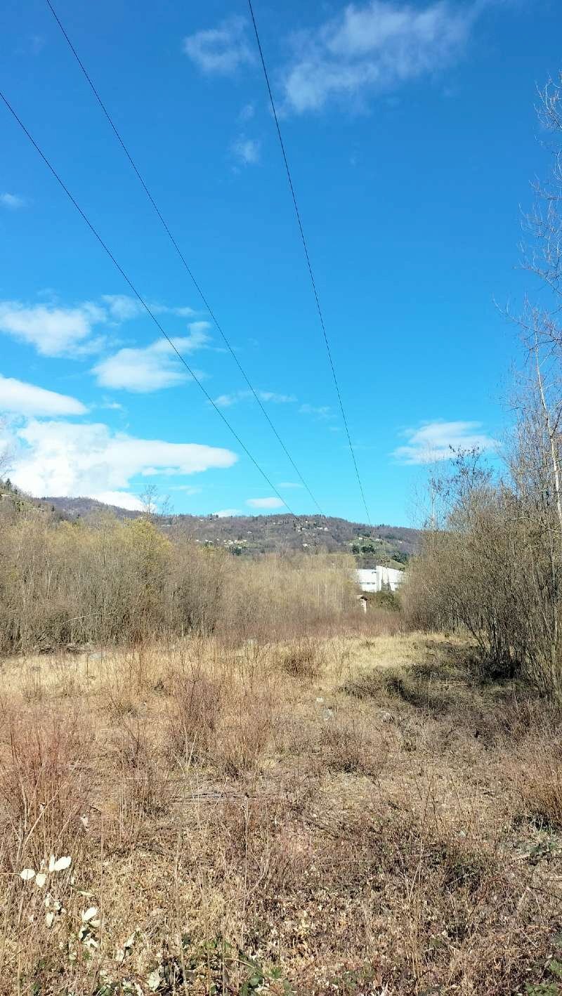 img-20250313-wa0012 - Agricultural land via Lungo Fiume Blancio, Torre Pellice - photo 3