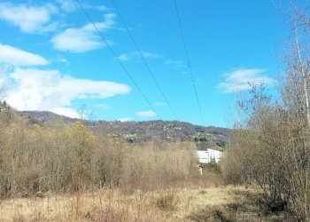 img-20250313-wa0012 - Agricultural land via Lungo Fiume Blancio, Torre Pellice - photo 3