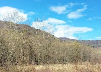 img-20250313-wa0011 - Agricultural land via Lungo Fiume Blancio, Torre Pellice - photo 4