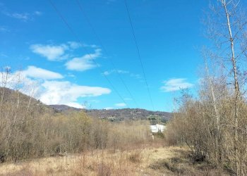 img-20250313-wa0013 - Agricultural land via Lungo Fiume Blancio, Torre Pellice - photo 5