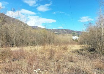 img-20250313-wa0016 - Agricultural land via Lungo Fiume Blancio, Torre Pellice - photo 6