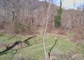 img-20250313-wa0020 - Agricultural land via Lungo Fiume Blancio, Torre Pellice - photo 7