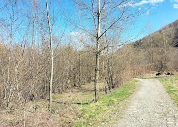 img-20250313-wa0014 - Agricultural land via Lungo Fiume Blancio, Torre Pellice - photo 9