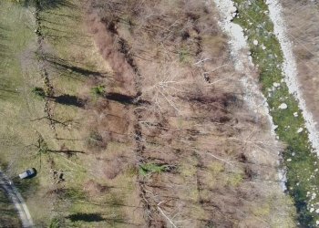 img-20250313-wa0023 - Agricultural land via Lungo Fiume Blancio, Torre Pellice - photo 12