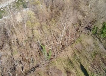 img-20250313-wa0021 - Agricultural land via Lungo Fiume Blancio, Torre Pellice - photo 13