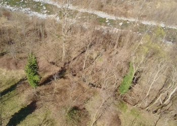 img-20250313-wa0025 - Agricultural land via Lungo Fiume Blancio, Torre Pellice - photo 15