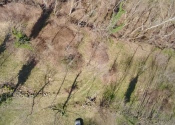 img-20250313-wa0026 - Agricultural land via Lungo Fiume Blancio, Torre Pellice - photo 16