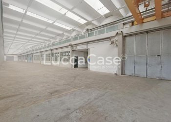 Shed Porcari - photo 6