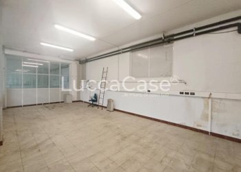 Shed Porcari - photo 19
