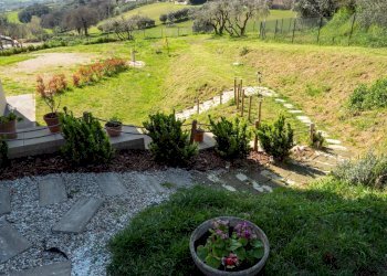 Villa a Schiera Senigallia - foto 13