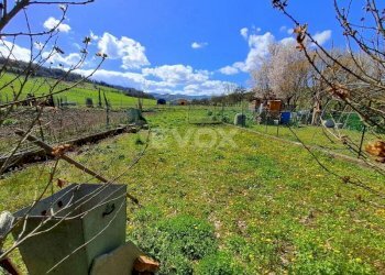 Villa Bologna - photo 6