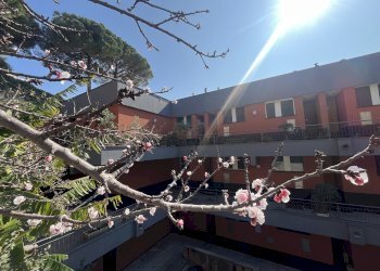 Casa indipendente Genova - foto 20