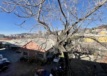 Casa indipendente Genova (zona Multedo) - foto 7