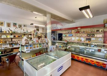 Negozio Bergamo - foto 6